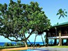 Koggala Beach Resort - obrázek č. 3